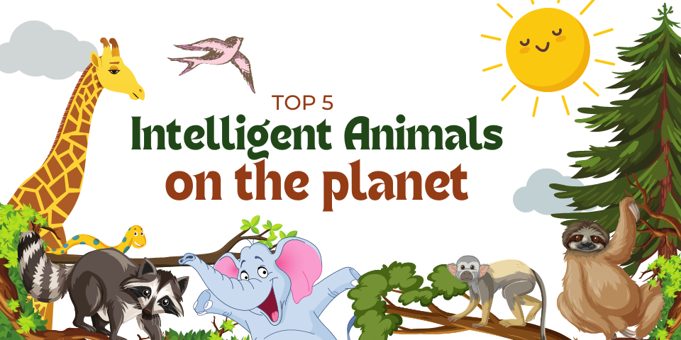 Discover the Highest IQ Ever Recorded - A-Z Animals