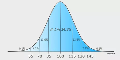 Iq Test Score Chart